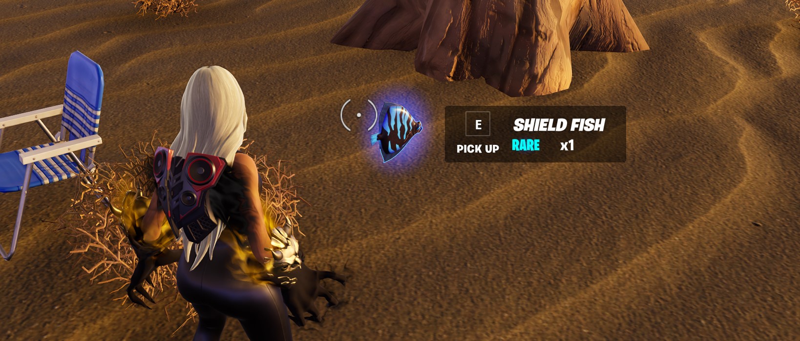 Shield Fish Fortnite
