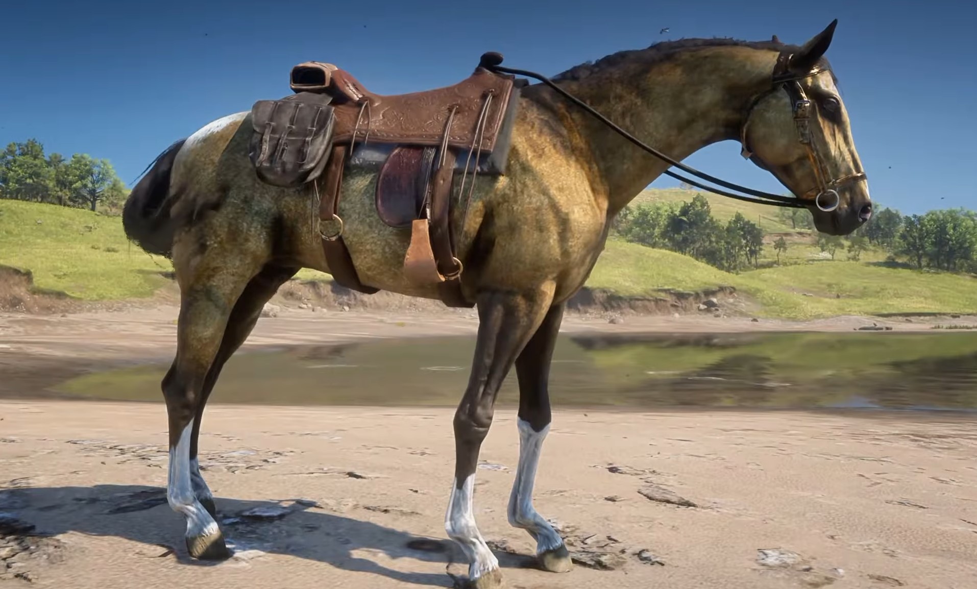 Gold Turkoman RDR2