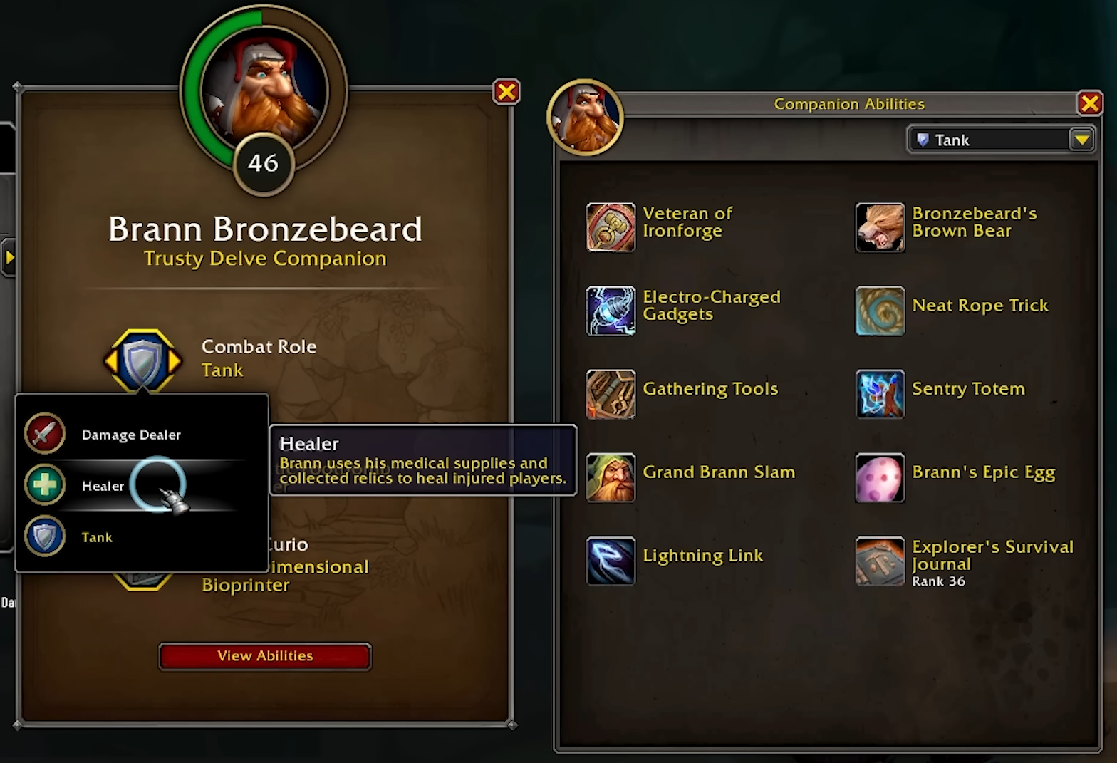 Brann - Delves Guide for The War Within