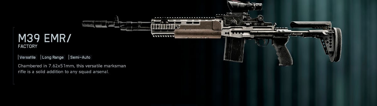 Battlefield 6 Best Weapons - M39 EMR
