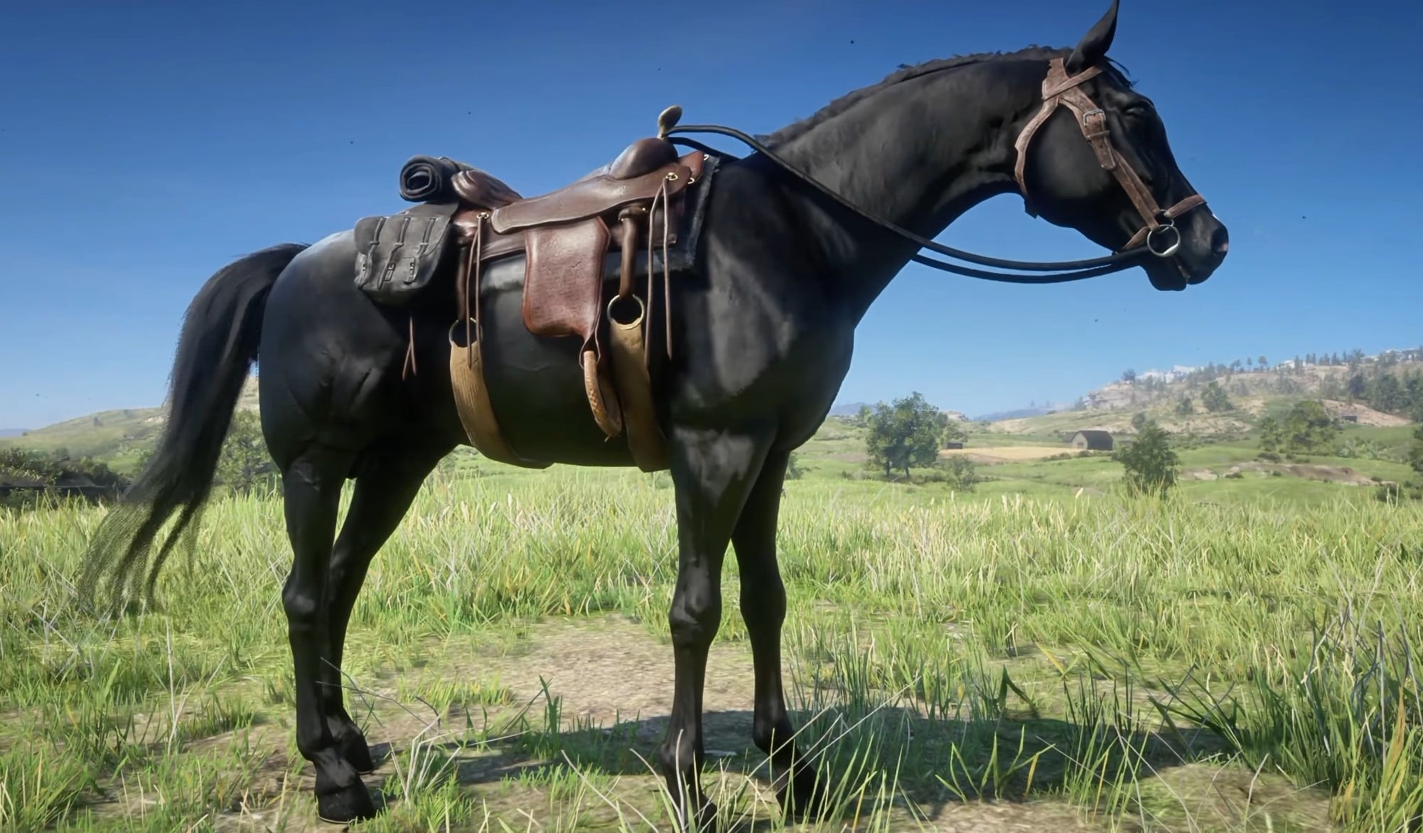 Black Arabian RDR2