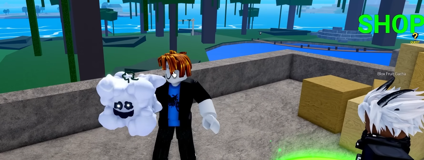 Blox Fruits Tier List Smoke