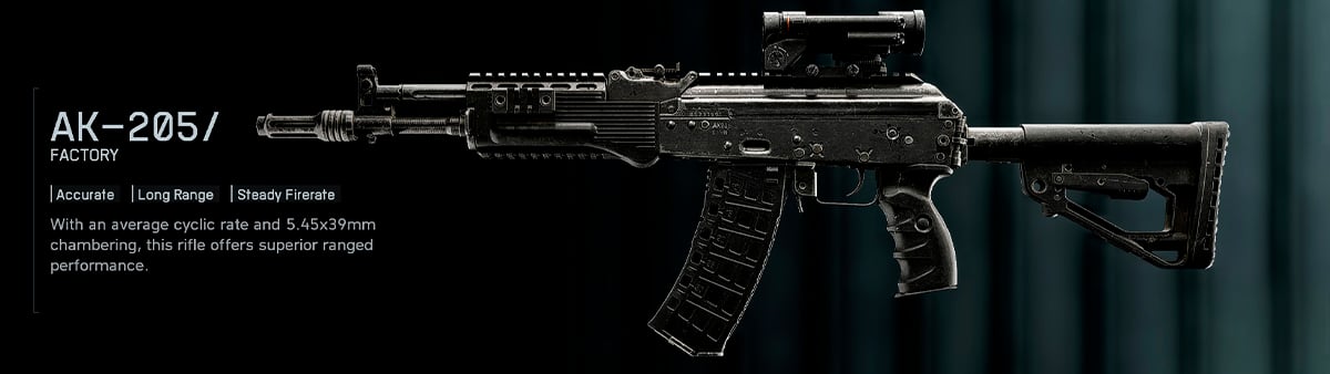 Battlefield 6 Best Weapons - AK-205