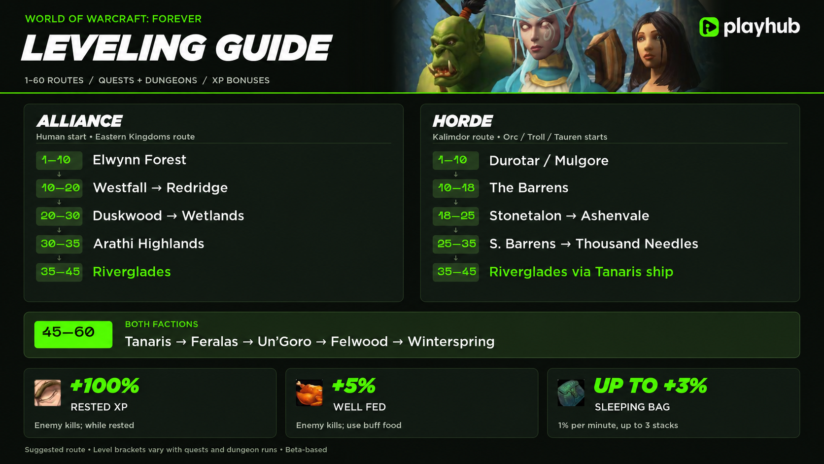WoW Forever Leveling Guide Playhub Infographic