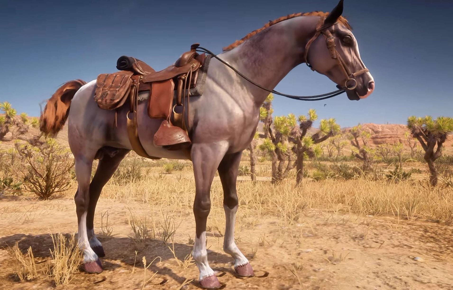 Rose Grey Bay Arabian RDR2