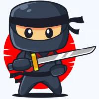 DIGITALNINJA