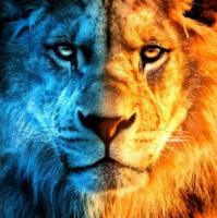 YellowLion