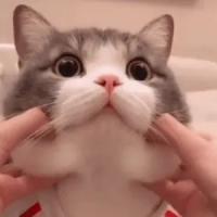 Sid_