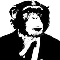 MrMonke