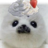 admplayerz