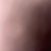 user_1781393054388