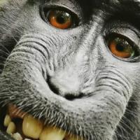 DanielH