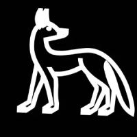 RowanOnPaws