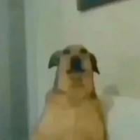 migileeeeeee